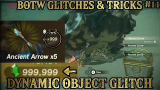 Dynamic Object Glitch Tutorial | Breath of the Wild Glitches/Tricks: Part 11