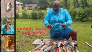 CATCH, CLEAN AND COOK BLUE TILIPIA FISH #fypyoutube #fishing #catchandcook #tilapia #explorepage
