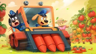 Ghost Car On the Farm | Safety Tips | Play Safe | Cartoons for Kids | Sheriff Labrador