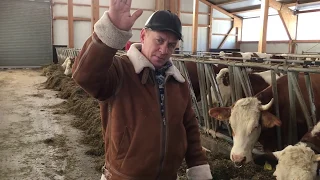 Ферма в Германии.Farm in Germany 🇩🇪 .