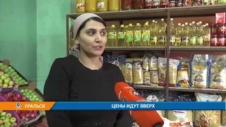 Цены на продукты растут в Казахстане