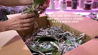 UNBOXING ICPU ORCHIDS September 2023 Unboxing of ICPU Phals from OSS