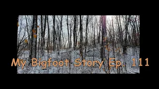 My Bigfoot Story Ep 111 -  Deer Season 2020 Review