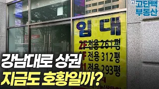 입이 떡 벌어지는 공실.. 강남대로 상권도 처참하네요