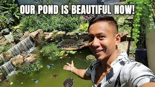 Stocking Our GIANT OUTDOOR POND With Plants, Fish, & Other Animals | Vlog #1669