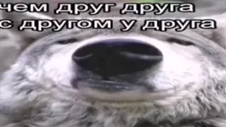 Webm лучше иметь друга, чем друг друга(безумно можно быть первым)