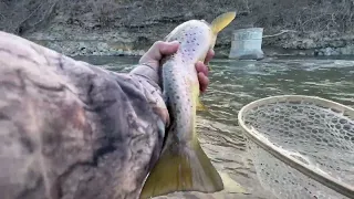 This Is Why You Don’t Stop Trout Fishing In The Winter
