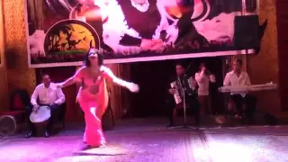 Bellydance Elena