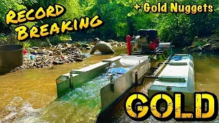 Finding Nuggets & Setting a New Record-Gold Prospecting