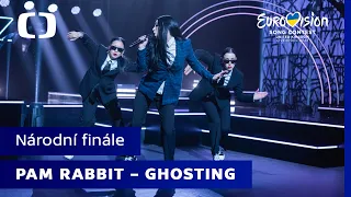 Pam Rabbit - ghosting | Eurovize národní finále