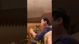 Tchaikovsky Symphony No.5 Horn Solo