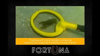 Подводный поиск профессионалом ювелирных изделий PulseDive Scuba Pointer