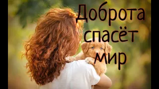 Этот мир спасёт доброта!