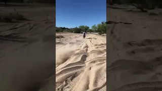 WIDE OPEN! 2021 Baja 500 HONDA 450X😯 #dirtbike #motorcycle #motivation #racing #power #insane