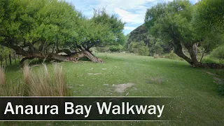 Anaura Bay Walkway, New Zealand | 4K