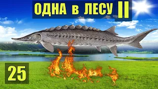 ОСЕТР РЫБА МОЕЙ МЕЧТЫ ЛОВУШКА РЫБАЛКА ОХОТА ВЫЖИВАНИЕ ОДНА В ЛЕСУ СУДЬБА РОБИНЗОН ЖИВОТНЫЕ 25