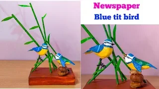 How to make a Blue tit bird from Newspaper