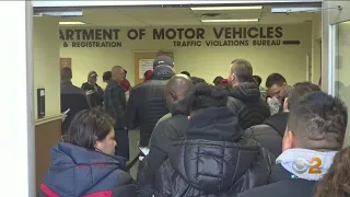 Undocumented Immigrants Now Allowed To Apply For New York Driver's License