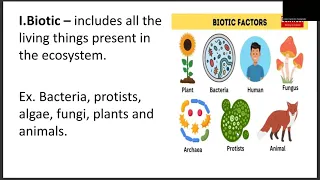 Biotic Factors