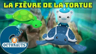 Octonauts - 🐢 La fièvre de la tortue 🎉 | Compilation | Dessins animés pour enfants