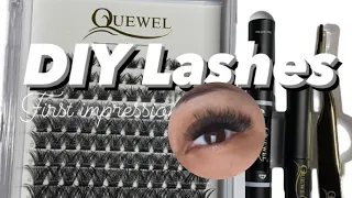QUEWEL cluster lashes kit DIY lash extensions AMAZON