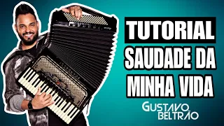 VÍDEO AULA: SAUDADE DA MINHA VIDA (Gusttavo Lima) TÉCNICA AVANÇADA