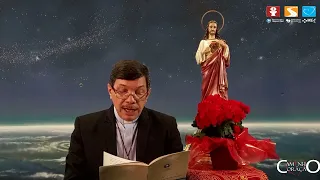 48. Estatutos da Rede Mundial de Oração do Papa (AO) e MEJ, parte 1 - Caminho do Coração