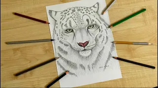 How to draw Snow Leopard step by step / Drawing tutorial