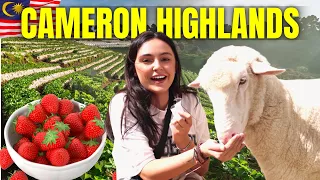 CAMERON HIGHLANDS MALAYSIA 🇲🇾 It's NOT What We Expected!