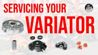 How To Service A Scooter Variator & Why You Need To!