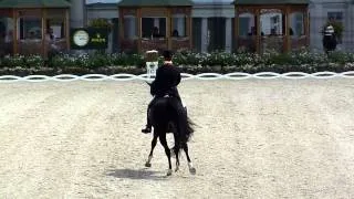 CHIO Aachen 2010 - CHIO tour Grand Prix Edward Gal & Totilas