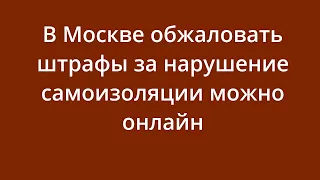 В Москве обжаловать штрафы за нарушение самоизоляции можно онлайн