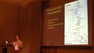 Genetic Ancestry Testing: Phylogeography - Dr Jim Wilson - BritainsDNA