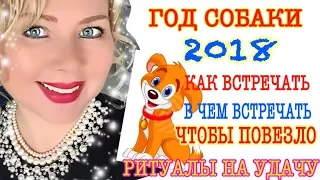 КАК ВСТРЕЧАТЬ 2018 ГОД/ КАК ВСТРЕЧАТЬ НОВЫЙ ГОД 2018