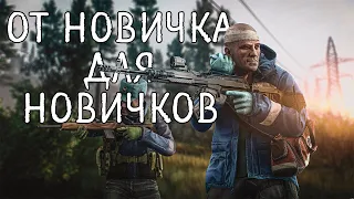 Как побеждать в PvP | От новичка для новичков - Escape From Tarkov