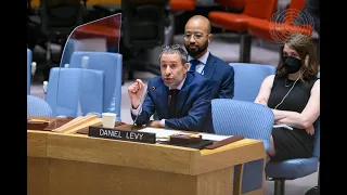 Daniel Levy UN Security Council briefing on Israel-Palestine (25 August, 2022)