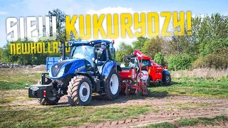 ✓Siewy kukurydzy🌽 Smerf w akcji🚜🔵 2024💨🔵New Holland T6 165🔵 🔴GASPARDO🔴 32ha👑🚨Agro Domin🚨