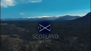 Scottish Adventure Part 2 | The Oldest tree in the UK (and possibly the world!)