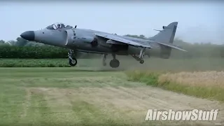 The Amazing Sea Harrier!