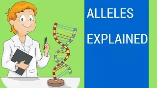 What is an allele ? ( Allele examples )