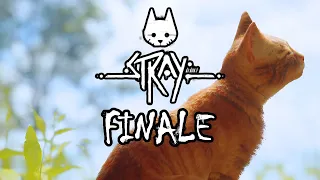 TRY NOT TO CRY - Stray (FINALE)