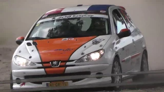 Rally Team Schenkeveld | 206 Rally Cup CHAMPIONS