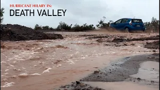 Death Valley FLASH FLOOD: Tropical Storm Hilary, Evacuation, Grotto Wash, Mesquite Dunes, & Yosemite