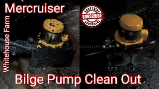 Boat Bilge Pump Clean Out!