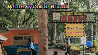 WISATA HUTAN ALAMI // WANA WISATA GRAPE // MADIUN #wisatakuliner #wisataalam #grape #madiun