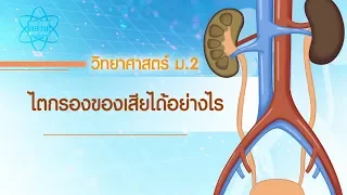 ไตกรองของเสียได้อย่างไร