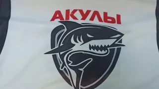 Ак буре(г.Казань)-Акулы(г.Кукмор) РТ среди команд 2009 гр. 2022-2023г.