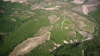 Tenute Silvio Nardi - Montalcino - Toscana