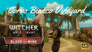 The Witcher 3 Blood and Wine - Corvo Bianco Vineyard Tour and All Upgrades 4K