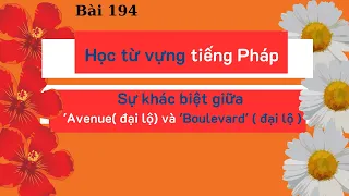 Bài 194 - Học từ vựng tiếng Pháp - Sự khác biệt giữa 'Avenue( đại lộ) và 'Boulevard' ( đại lộ )